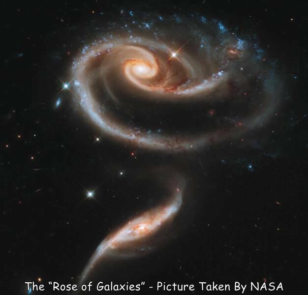 rosegalaxy.jpg
