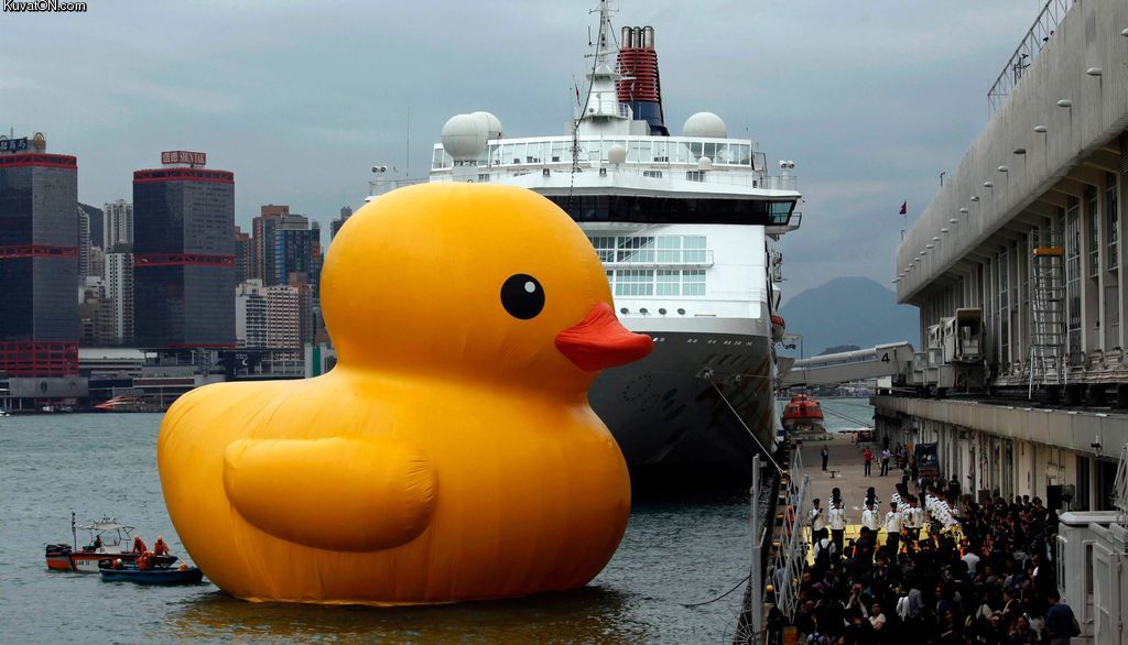 rubber_duck.jpg
