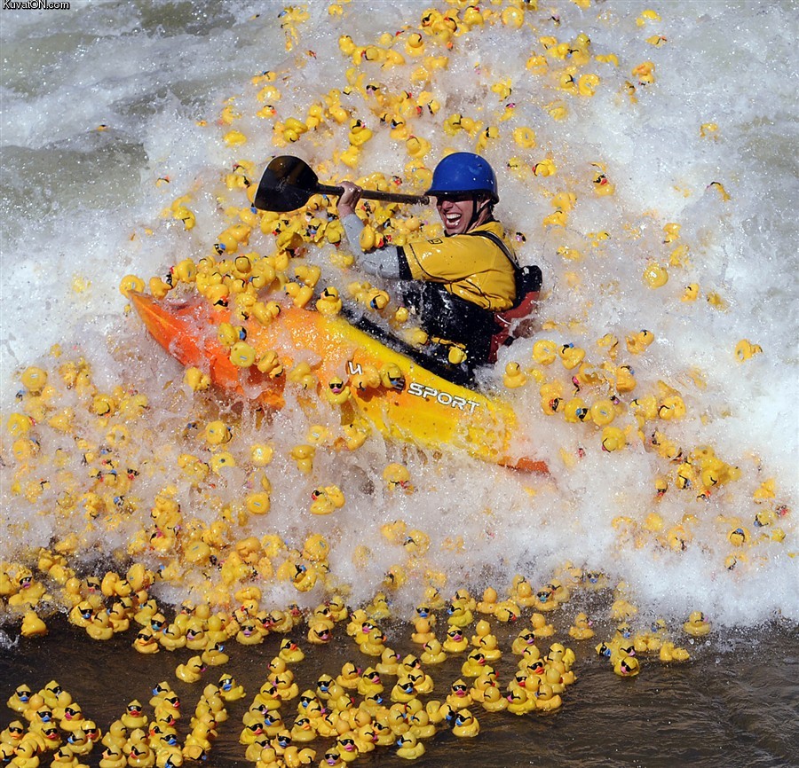 rubber_duck_rafting.jpg