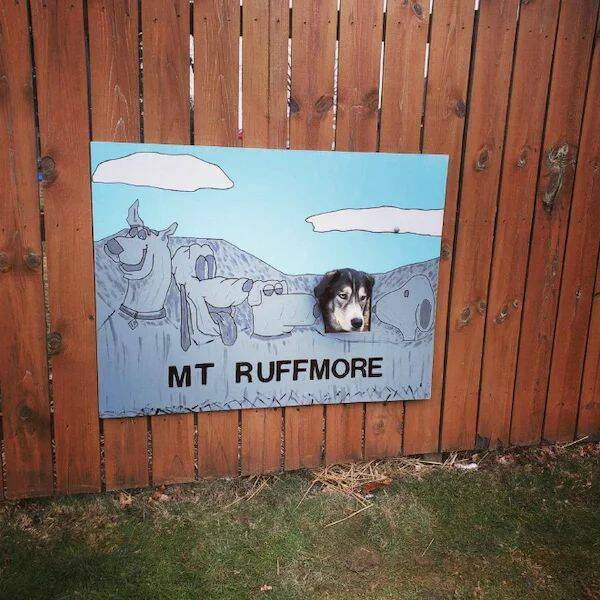 ruffmore.jpg