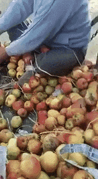 ruokintaa3.gif