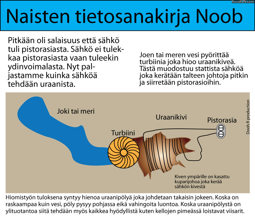 sahkonhionta_naisten_tietosanakirja.jpg