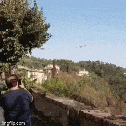 sammuttaja_tulloo.gif