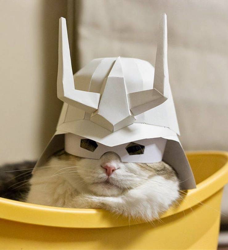 samurai_cat2.jpg