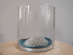 sand_art_in_a_glass_time_lapse.gif