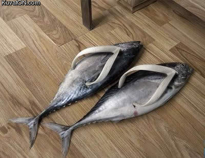 sandals2.jpg