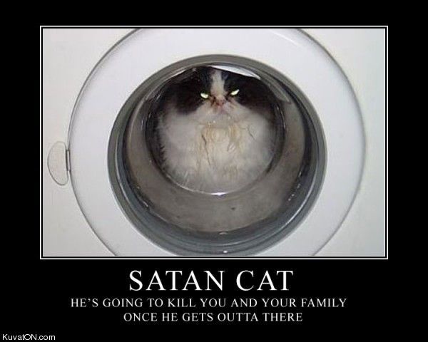 satan_cat.jpg
