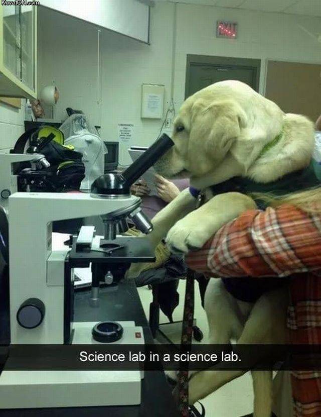 sciencelab.jpg