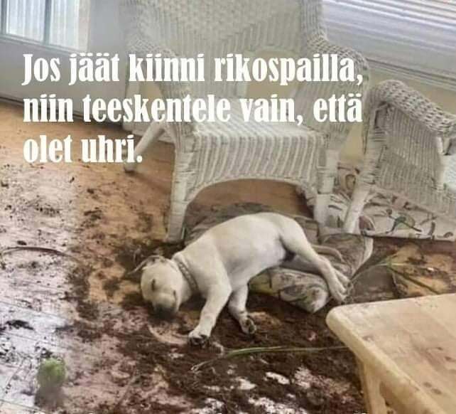 se_oli_joku_muu.jpg