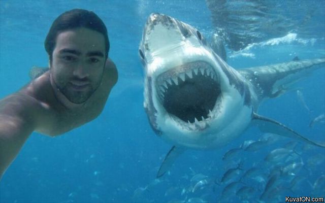 selfie_with_shark.jpg