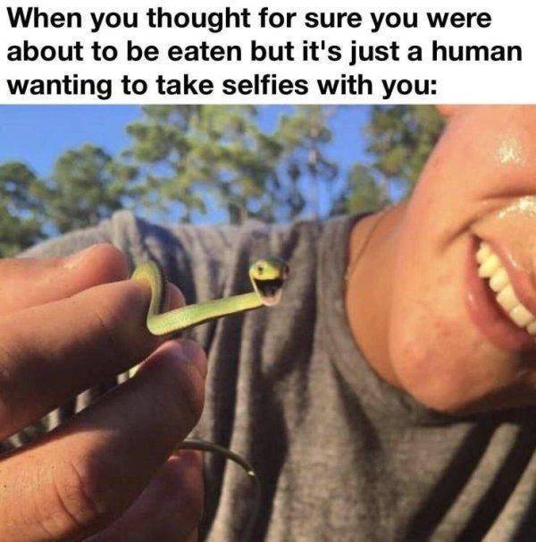 selfietimeee.jpg