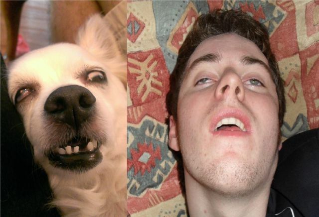 semmonen_koira_kuin_isäntä.jpg