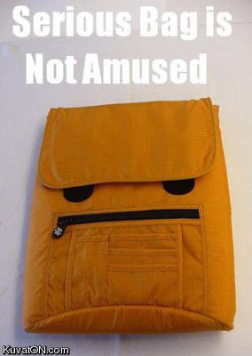 serious_bag.jpg