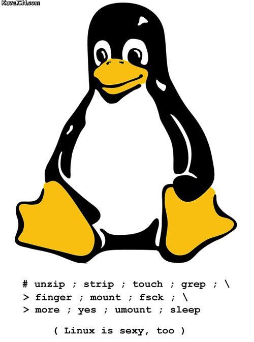 sexy_linux.jpg