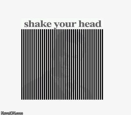 shake_your_head.jpg
