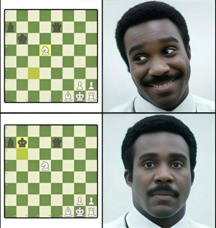 shakki6.jpg