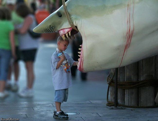 shark_mouth.jpg