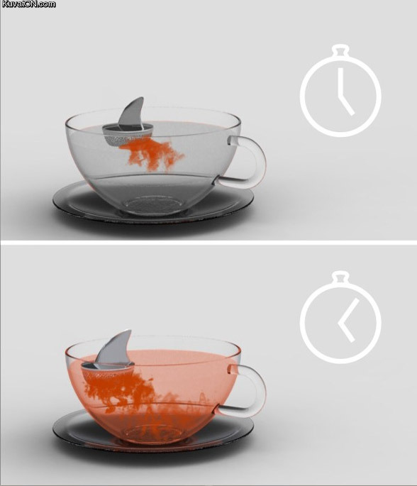 shark_tea.jpg