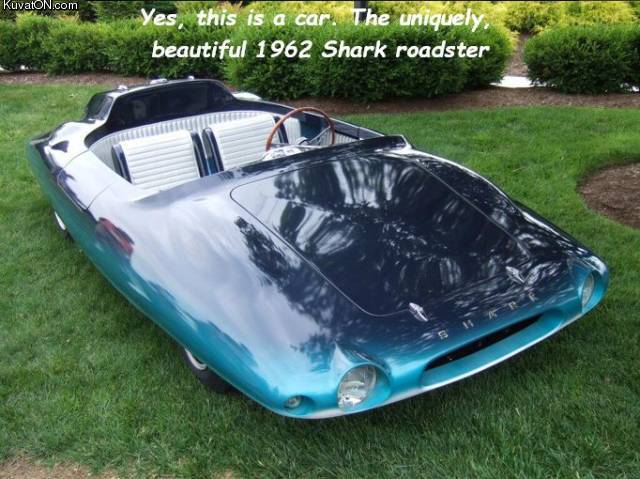 sharkroadster.jpg