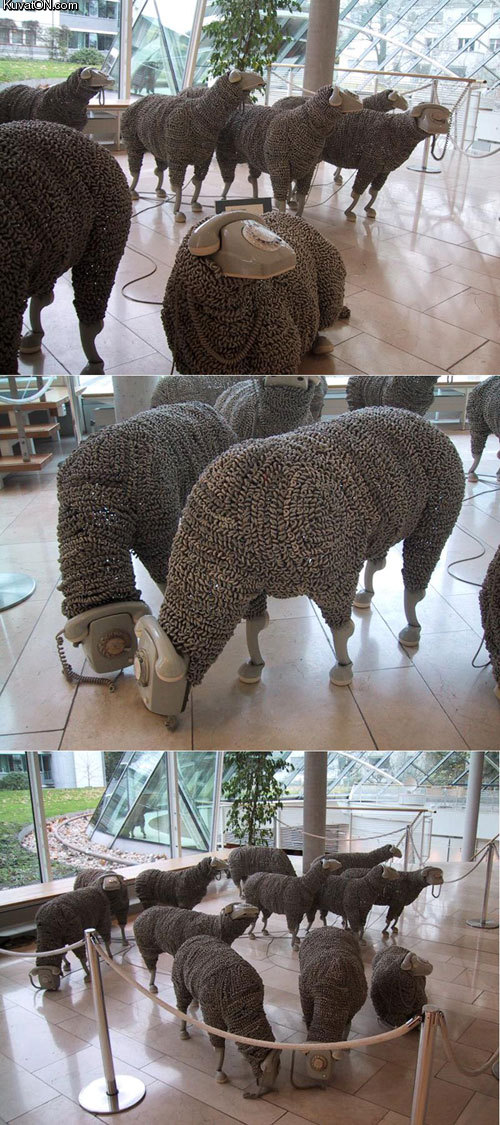 sheep_art.jpg