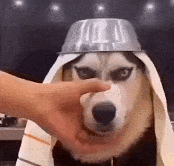 sheikki.gif