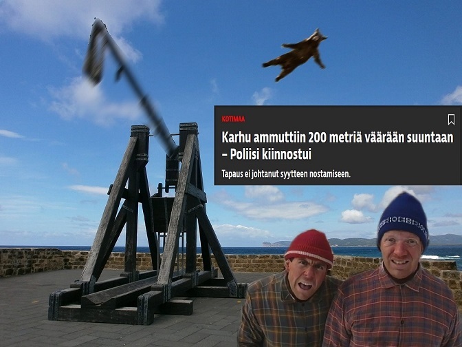 shelvä.jpg