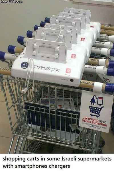 shopping_carts.jpg