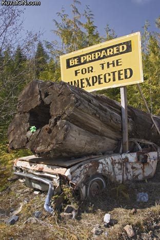 sign11.jpg