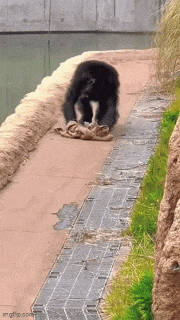 siivouspaiva_tarhassa.gif