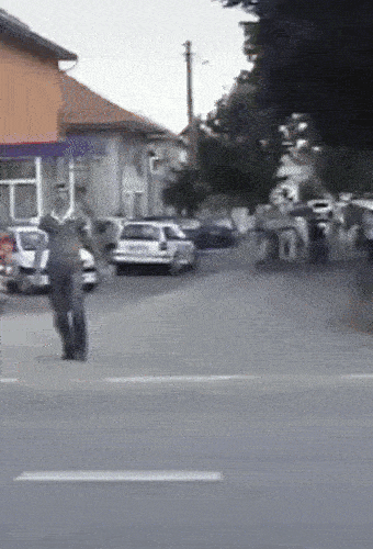 silita_vahan.gif