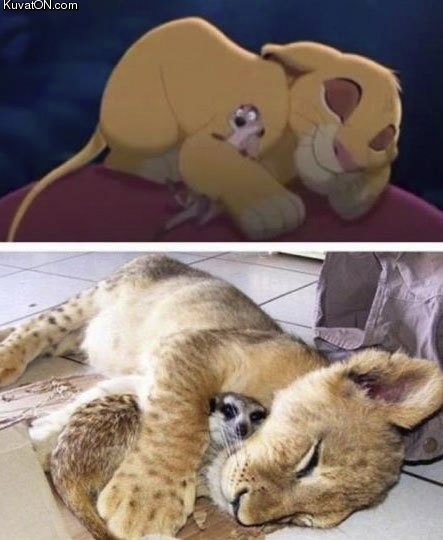 simba_and_timon.jpg