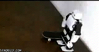 skater_robot.gif