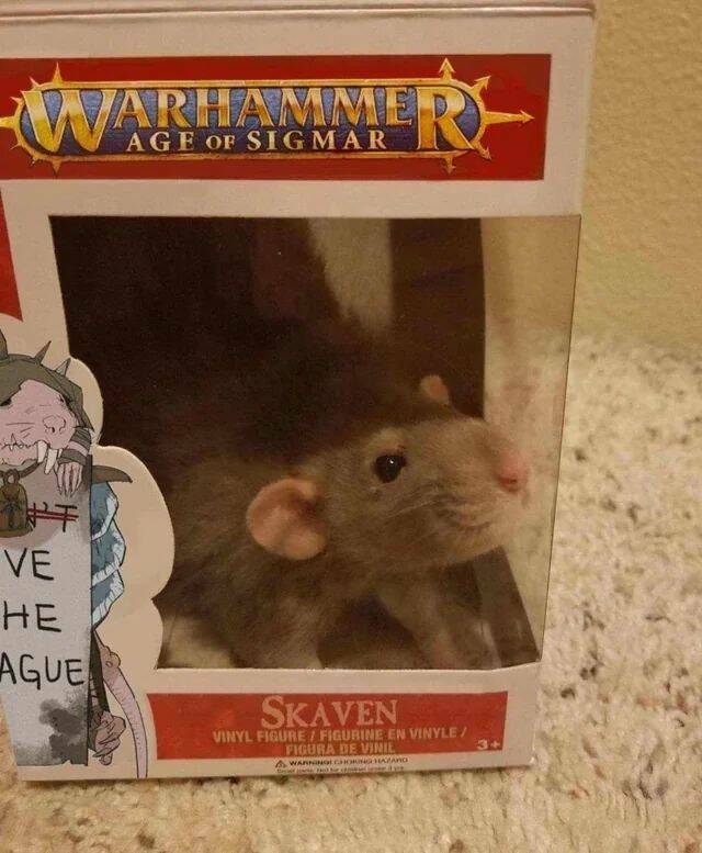 skaven.jpg