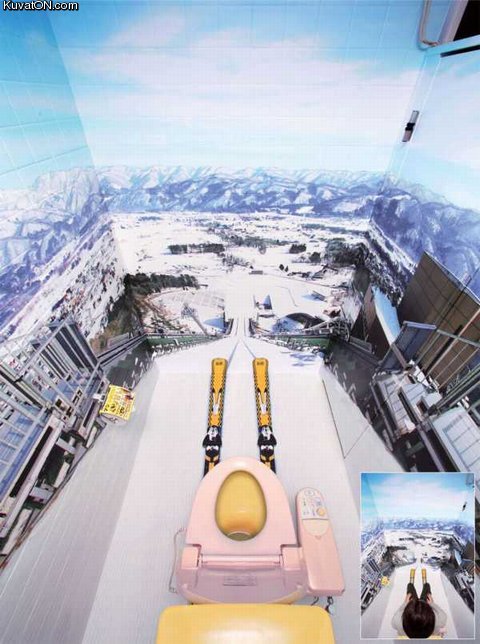 ski_jump_toilet.jpg