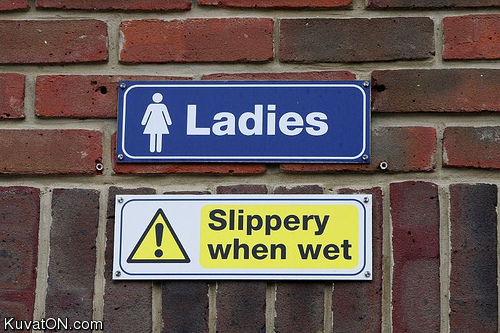 slippery_ladies.jpg