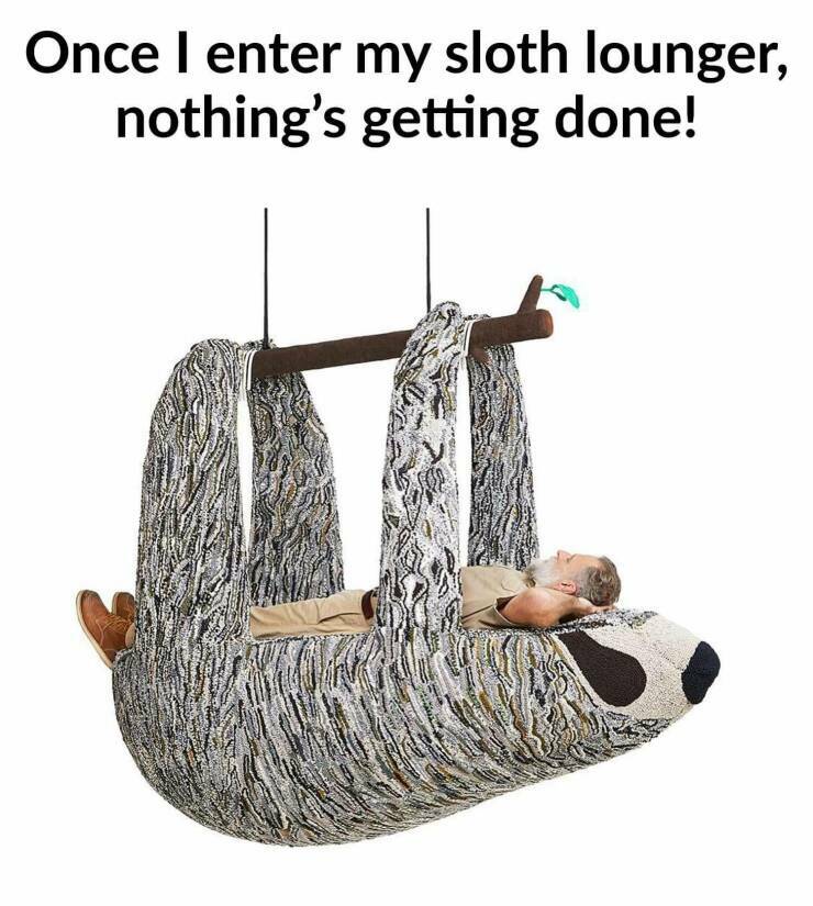 slothlounger.jpg