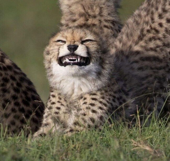 smiiile_16.jpg
