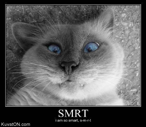 smrt.jpg