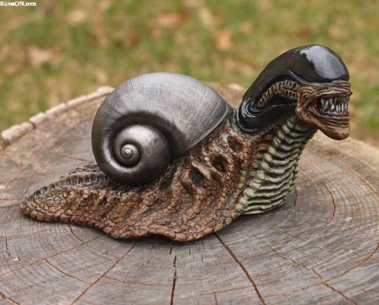 snail7.jpg