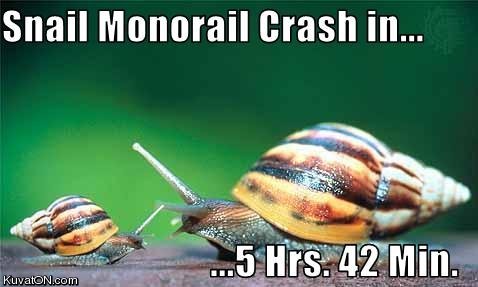 snail_crash.jpg
