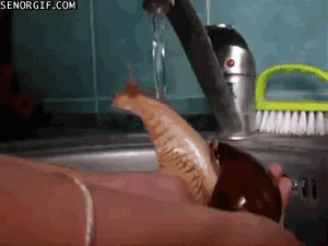 snail_shower.gif