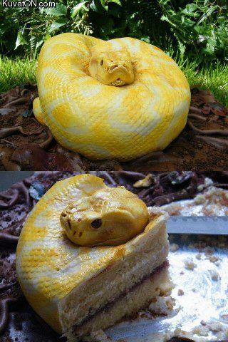 snakecake.jpg