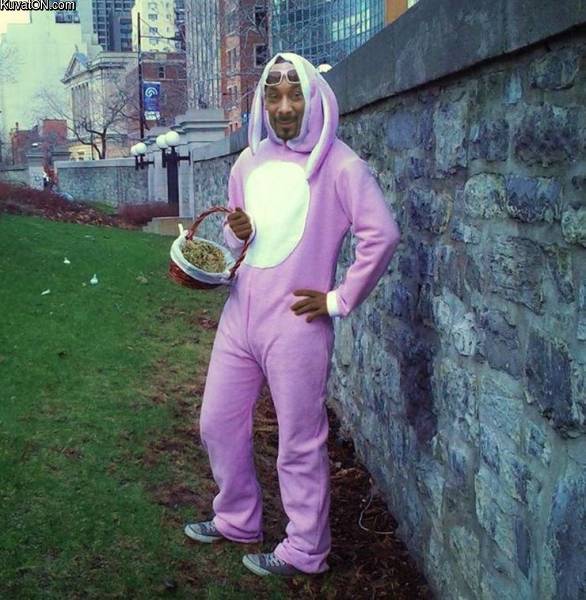 snoopbunny.jpg