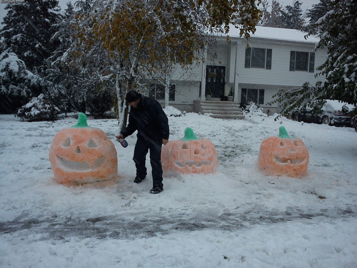 snow_pumpkins.jpg