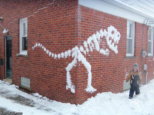 snow_rex.jpg