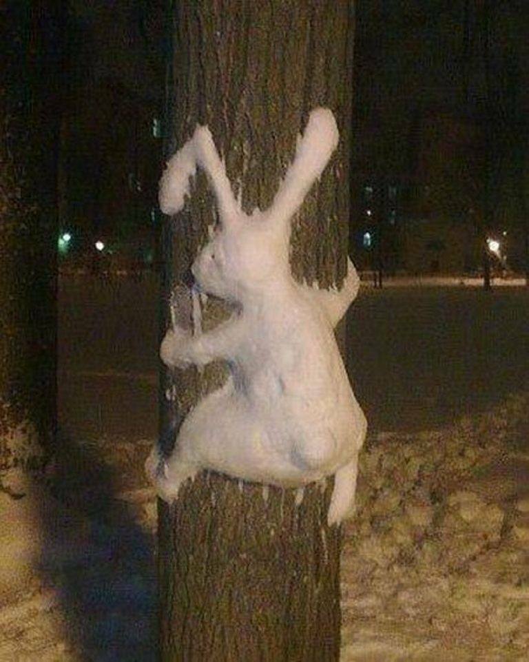 snowbunny.jpg