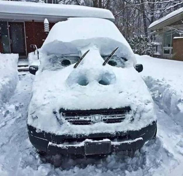 snowface.jpg