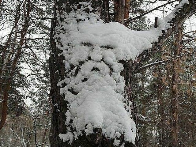snowman8.jpg