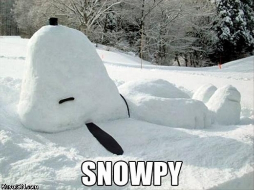 snowpy.jpg