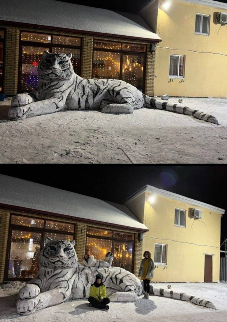 snowtiger.jpg
